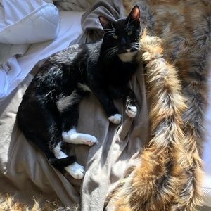 Meet your Posher, Patrick